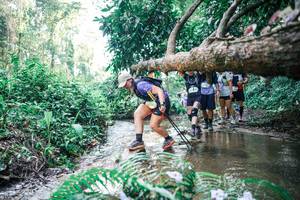 BIB: 
                            <button type="button" onclick="openModal(25463427)" class="btn btn-primary btn-sm float-right btn-popup" data-toggle="modal" data-target=".modal-high-quality">
                        <i class="fas fa-shopping-cart"></i> Add to Cart
                    </button>
                                            <button type="button" onclick="isThisMe(25463427, true)" class="btn btn-success btn-sm float-right btn-popup btn-isme hidden" data-toggle="tooltip" data-placement="bottom" title="นี่คือรูปของคุณใช่ไหม คลิกที่นี่เพื่อเอาเข้าอัลบั้ม">
                        <i class="fas fa-plus"></i> Add to album
                    </button>
                    <button type="button" onclick="isThisMe(25463427, false)" class="btn btn-warning btn-sm float-right btn-popup btn-isnotme hidden">
                        <i class="fas fa-ban"></i> Remove from album
                    </button>